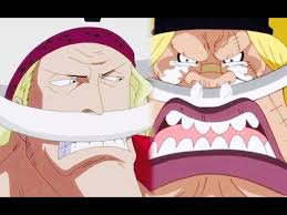 Is He True Son Of Whitebeard ? | One Piece #Shorts - Youtube