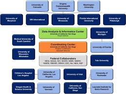 a description of the abcd organizational structure and