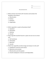 Maybe you would like to learn more about one of these? Summative Assessment Plant And Animal Cells2