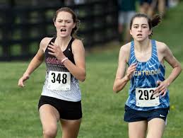 Prep roundup: Skyline's Bordner wins regional title, Warren girls finish  second