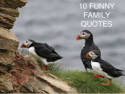 10 Funny Family Quotes 5470 quotes have been tagged as family: 10 funny family quotes