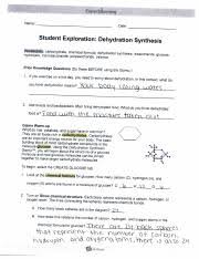 Half life gizmo answer key.rar microsoft office 2000 portable activity b: Collision Theory Gizmo Answers Collision Theory
