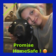 As I don't drive can someone go by 404 Stanton ave ak and check to see if a  kitten is in a carrier.The woman who lived there is in the hospital.She had