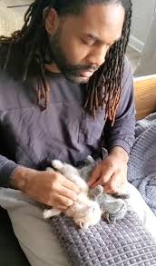 Ash and Ember Grow Up So Fast in Foster Care with Abdul's Cats