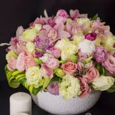 All the times are generated in local time in florida (east coast) and the daylight saving time change has also. Send Peonies Delray Beach Fl Flower Delivery Bloomnation