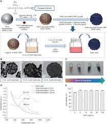 Everyone else we gold ) chloride. Fig 1 Gold Nanoparticle Gnp Characterization A Schematic Illustration Of The Synthesis Of Gnps B Transmission Electron Micrograph Of Gold Shell Formation In Snp Gnps Snp Gns With Different Amounts Of Gold Hydroxide Solution A 5 Ml B 10 Ml