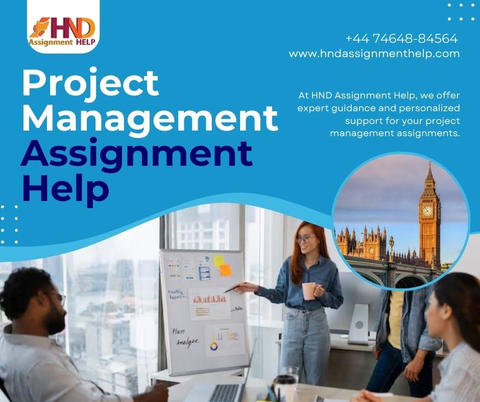 Project Management Assignment Support product image