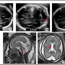 E. Cazorla's research works