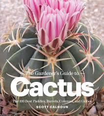 Toner №3 for kyocera premium universal. The Gardener S Guide To Cactus The 100 Best Paddles Barrels Columns And Globes Calhoun Scott 9781604692006 Amazon Com Books