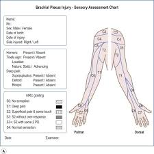 clinical examination and diagnosis musculoskeletal key