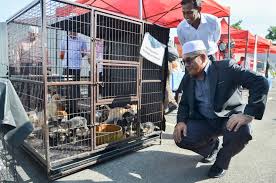 Penambahbaikkan telah diusahakan kerana tiada transit yang sesuai untuk menempatkan kucing terbiar yang pihak kami tangkap untuk daerah jasin ini.semua kucing terdapat di pusat jagaan kucing ini adalah kucing yang pihak kami tangkap di. Datuk Bandar Mbsp Nasihat Jangan Buang Haiwan Kesayangan Di Kedai Makan Pasar Raya Buletin Mutiara