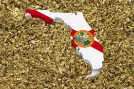 If you do not have a florida i.d., another photo i.d. Medical Marijuana Companies Bet On Florida Market Following Smokable Flower Ban Repeal