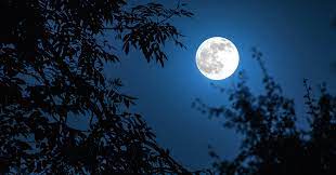 The full moon tends to mark a big the full moon is all about bringing our intentions, emotions, and opportunities for healing to the. No Tricks Just A Halloween Blue Moon Yalenews