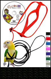 Bird Safe Cat Collar Australia The Aviator Bird Harness And Leash You Can Find Out More Details At The Link Of The Image Pet Bird Bird Supplies Cat Collars