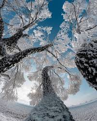 Bu resimleri indirip telefonunuz için duvar kağıtları olarak kesinlikle özgürce kullanabilirsiniz. Doga Telefon Duvar Kagitlari Nature Phone Wallpapers