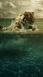 Cool Animal Iphone Wallpapers 47 Images Wallpaperboat Animated desktop wallpapers, bring your desktop to life! cool animal iphone wallpapers 47