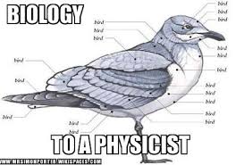The 42 Best Science Memes On The Internet Science Cartoons Science Puns Biology Humor