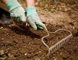 Usually just for starting a new garden. Learn When Tilling Soil Is Right Bonnie Plants