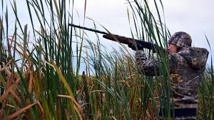 We did not find results for: A Moins De 300 Metres On Ne Chasse Pas Vaudreuil Soulanges Neomedia