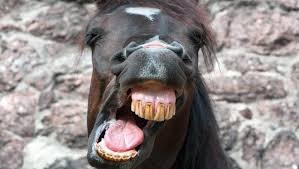 It's no doubt that laughing is a great way to connect with family, friends, and loved ones and you can be sure to find some of these are real gems. Dad Jokes To Make You Laugh Or Groan