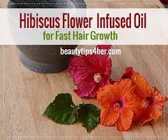 Hair Growth Hibiscus 1 Flower Infused Oil Infused Oils Hibiscus