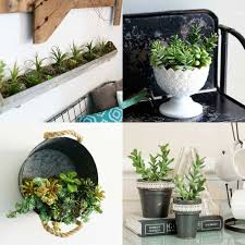Check spelling or type a new query. Easy Diy Faux Succulent Planters For Those Without A Green Thumb
