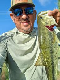 Today's catch😎early morning bite