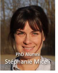 Schubert Lab @ Donders