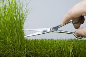 Professional lawn care and estate management you can count on. Mfdatsgrzggtlm
