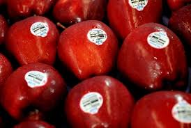 1151 apple fruit images clip art public domain vectors. Seluruh Apel Impor Yang Masuk Secara Legal Aman Dikonsumsi Republika Online