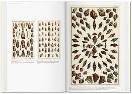 We did not find results for: Seba Cabinet Of Natural Curiosities Taschen Books