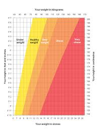 Though this sounds really good, the appropriateness of intrauterine growth estimation of fetuses has its limitations. Download Height And Weight Chart Template For Men For Free Formtemplate