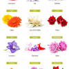 Birth month flowers add special significance and meaning to an arrangement, and personalize handmade baby gift ideas. 1