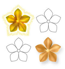 • use the inner circle and draw the center of the flower. Flower Petals Outline Vector Images Over 23 000