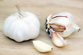 However, their persistent bulbs and spreading habit make them a problem in most gardens. The Shocking Truth About Dogs And Garlic Petguide