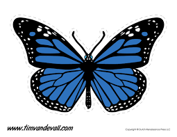Flying queen butterfly picture to color. Blue Butterfly Image Tim S Printables