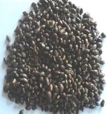 Image result for Aframomum corrorima