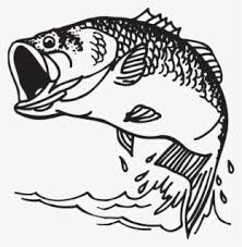 Free Free 307 Largemouth Bass Fish Svg Free SVG PNG EPS DXF File
