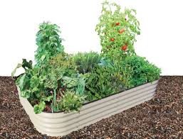 Birdies Raised Garden Beds Usa 41 Backyard Raised Bed Garden Ideas Metal Garden Beds Garden Beds Raised Garden Beds