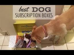We are a fedex canada compatible application. Best Dog Subscription Box 2021 Pet Treater Vs Barkbox Vs Pupbox Vs Pupjoy Vs Bullymake More Caninejournal Com