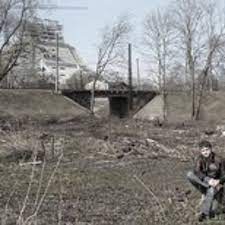 Direct the spray nozzle of your sprayer over the unwanted grass using broad, even motions. Tiger Lillies Baby Killer By Schwanz