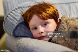 428 Hazel Washington Stock Photos, High-Res Pictures, and Images