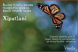 Frasedeldia Lovely Frasesenespanol Amore Letrasdeamor Laescrituraescultura Poemas Citas Sigueme Palabras En Nahuatl Frases Frases Nahuatl