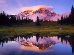 If you have your own one, just create an account on the website and upload a picture. Beautiful Pc Desktop Wallpapers Wallpaper Cave