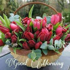 Good Morning Beautiful Hope You Slept Well I Am Still In Bed Two Days In A Row I Slept In Beautiful Flower Arrangements Seasonal Flowers Flowers Bouquet