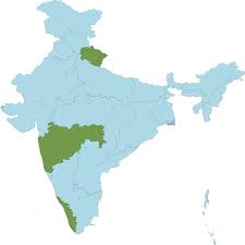 Image result for Sacciolepis spiciformis