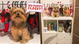 You'll find new or used products in closet organizers on ebay. Building My Dog A Closet Diy Youtube