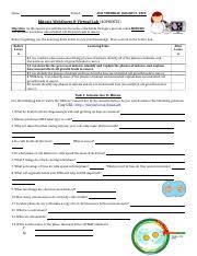 In this activity, you will use the following web pages to examine the processes of mitosis and meiosis. Mitosis Cancer Webquest Student Handout 40f0f4 29ea31 1 Name Period Due Thursday January 9 2020 Mitosis Webquest Virtual Lab 40points Course Hero