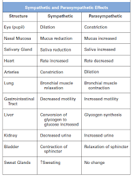 mynotes4usmle nurse on duty sympathetic and