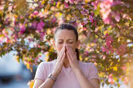 Signs Of Spring: How To Cope With Seasonal Allergies | Summit Health